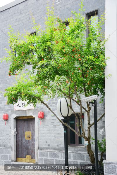 风水树有哪些_常见宅院风水树有哪些,第2张 风水树有哪些_常见宅院风水树有哪些,第2张